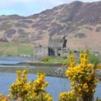 Plants: image 1 0f 4 thumb