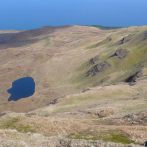 Plants: image 2 0f 4 thumb