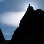 Plants: image 3 0f 4 thumb