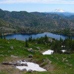 Plants: image 1 0f 4 thumb