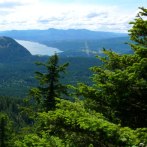 Plants: image 2 0f 4 thumb