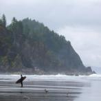 Plants: image 3 0f 4 thumb